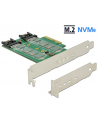 DELOCK PCI-E -> M.2 KEY B + 1X M.2 KEY M + 2XSATA 6 GB/S LOW PROFILE - nr 3