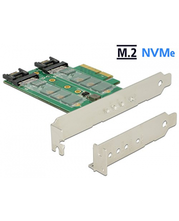 DELOCK PCI-E -> M.2 KEY B + 1X M.2 KEY M + 2XSATA 6 GB/S LOW PROFILE