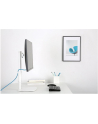 Uchwyt NEWSTAR FPMA-D890WHITE - nr 32