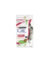 purina nestle Karma PURINA Cat Chow Special Care UTH 15 - nr 4