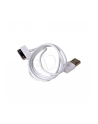 Kabel Akyga AK-USB-08 (USB M - Apple 30-Pin M; 1m; kolor biały) - nr 2