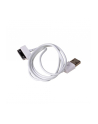 Kabel Akyga AK-USB-08 (USB M - Apple 30-Pin M; 1m; kolor biały) - nr 3
