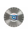 Tarcza diamentowa Professional for STONE 350 BOSCH - nr 1