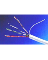 GEMBIRD FTP KABEL DRUT KAT 6 AWG24 MIEDŹ 305M - nr 9