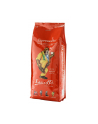 Kawa ziarnista 1000g Lucaffe  (8021103792090) - nr 1