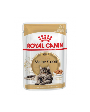 Karma Royal Canin FBN Maine Coon  (0 09 kg  ) nr 2