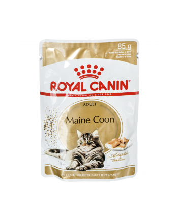 Karma Royal Canin FBN Maine Coon  (0 09 kg  ) nr 1