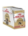 Karma Royal Canin FBN Maine Coon  (0 09 kg  ) - nr 3
