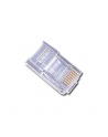 GEMBIRD WTYK RJ45 (100 SZTUK) KAT. 5E  UTP  8P8C - nr 6