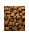 Karma VERSELE-LAGA Classic Dog Duo Krok (20 kg ) - nr 2