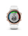 Zegarek sportowy Garmin Fenix 5S Plus Sapphire 010-01987-07 (kolor złoty) - nr 21