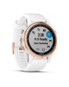 Zegarek sportowy Garmin Fenix 5S Plus Sapphire 010-01987-07 (kolor złoty) - nr 26