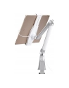 Uchwyt biurkowy do tabletu NEWSTAR TABLET-D100SILVER - nr 45