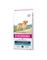 Karma EUKANUBA Breeds Nutrition Labrador Retriever Adult (12 kg ) - nr 2