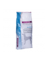 Eukanuba Veterinary Diets Joint Mobility Dog 12 kg - nr 1
