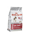 Karma Royal Canin SHN Medium Light Care (3 kg ) - nr 1