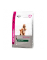 Karma EUKANUBA Dog Dry Breed Specific All Cocker Spaniel (7 50 kg ) - nr 6