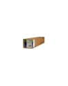 Papier Epson Roll Single Weight Matte 24'' x 40m (120g/m2) - nr 5