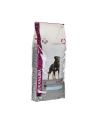 Karma EUKANUBA Dog Dry Breed Specific All Rottweiler Chic (12 kg ) - nr 1