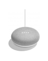 no name Net Bluetooth Google Home Mini [wh] - nr 22
