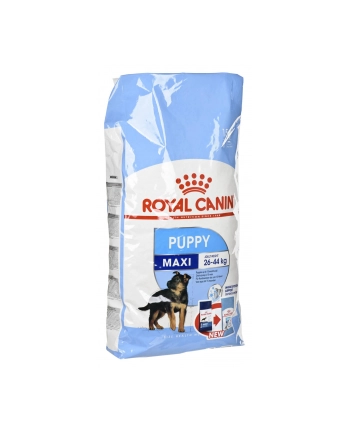 Karma Royal Canin SHN Maxi Puppy (15 kg )
