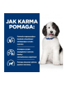 Karma Hill's PD Diet Canine c/d (12 kg ) - nr 6