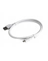 Kabel GEMBIRD CCP-mUSB2-AMBM-W-0.1M (USB 2.0 typu A M - Micro USB typu B M; 0 10m; kolor biały) - nr 4
