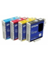 Wkład atramentowy Epson Czarny Stylus do  7900/9900 - light light (350ml) - nr 1