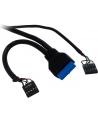 Czytnik kart Inter-Tech CI-01 88884054 (Wewnętrzny; CF  CFI  CFII  Extreme  MD  Memory Stick Micro M2  MicroSD  MMC  MS  SD  SDHC  SDXC  TF) - nr 14