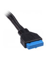 Czytnik kart Inter-Tech CI-01 88884054 (Wewnętrzny; CF  CFI  CFII  Extreme  MD  Memory Stick Micro M2  MicroSD  MMC  MS  SD  SDHC  SDXC  TF) - nr 16