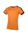 Koszulka PUMA Pitch Team (S; Poliester; kolor pomarańczowy) - nr 2