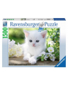 ravensburger Puzzle 1500el Biały kotek 162437 - nr 1
