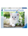 ravensburger Puzzle 1500el Biały kotek 162437 - nr 2