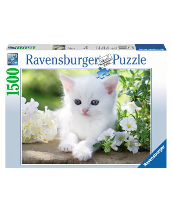ravensburger Puzzle 1500el Biały kotek 162437