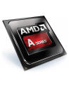 AMD A6 9500E - 3GHz - 2 Cores - 1MB Cache Memory - Socket AM4 - Box (AD9500AHABBOX) - nr 3