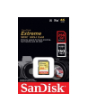 sandisk Karta pamięci Extreme SDXC 256GB 150/70 MB/s V30 UHS-I U3 - nr 17