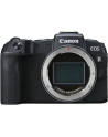 Canon EOS RP Hybrid camera + RF 24-105mm f/4L IS USM + MT adapter - nr 13