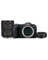 Canon EOS RP Hybrid camera + RF 24-105mm f/4L IS USM + MT adapter - nr 19
