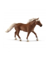 schleich SLH 42481 Trening zręcznościowy dla kucyków - nr 18