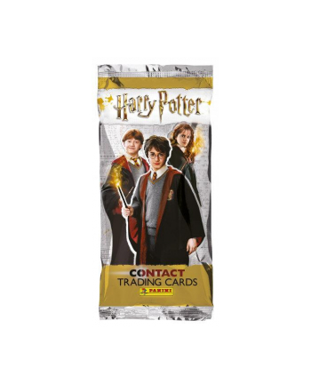 Karty Harry Potter saszetka z kartami 09636 PANINI