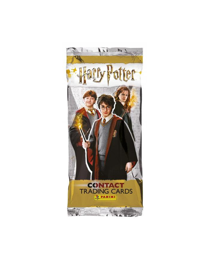 Karty Harry Potter saszetka z kartami 09636 PANINI główny