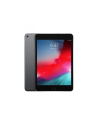 apple iPad mini Wi-Fi 64GB - Space Grey - nr 22