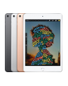 apple iPad mini Wi-Fi 64GB - Space Grey - nr 26
