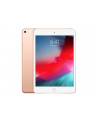 apple iPad mini Wi-Fi 64GB - Gold - nr 19