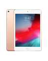 apple iPad mini Wi-Fi 64GB - Gold - nr 20
