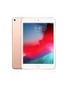 apple iPad mini Wi-Fi 64GB - Gold - nr 24