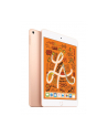 apple iPad mini Wi-Fi 256GB - Gold - nr 13
