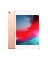 apple iPad mini Wi-Fi 256GB - Gold - nr 18