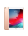 apple iPad mini Wi-Fi 256GB - Gold - nr 1