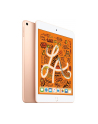 apple iPad mini Wi-Fi 256GB - Gold - nr 24
